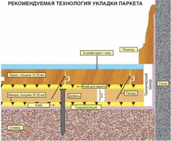 Как правильно класть паркет в квартире