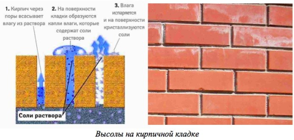 Высолы на фасадах кирпичных зданий: причины появления и методы борьбы