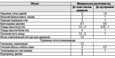 На каком расстоянии от забора сажают деревья