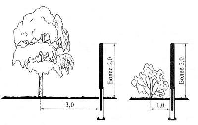 Расстояние от кустарников до забора